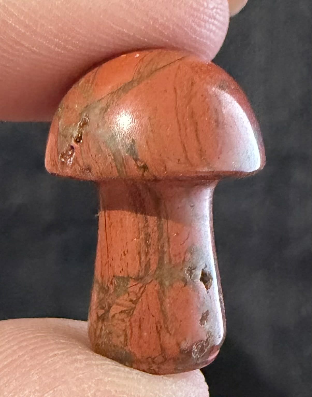Mini Mushies
