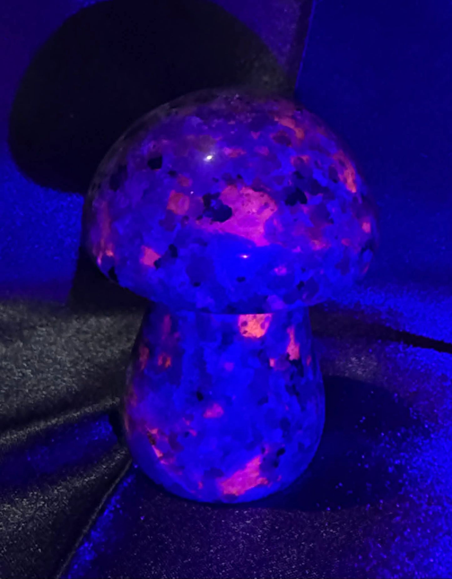 Yooperlite Mushroom
