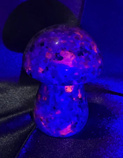 Yooperlite Mushroom