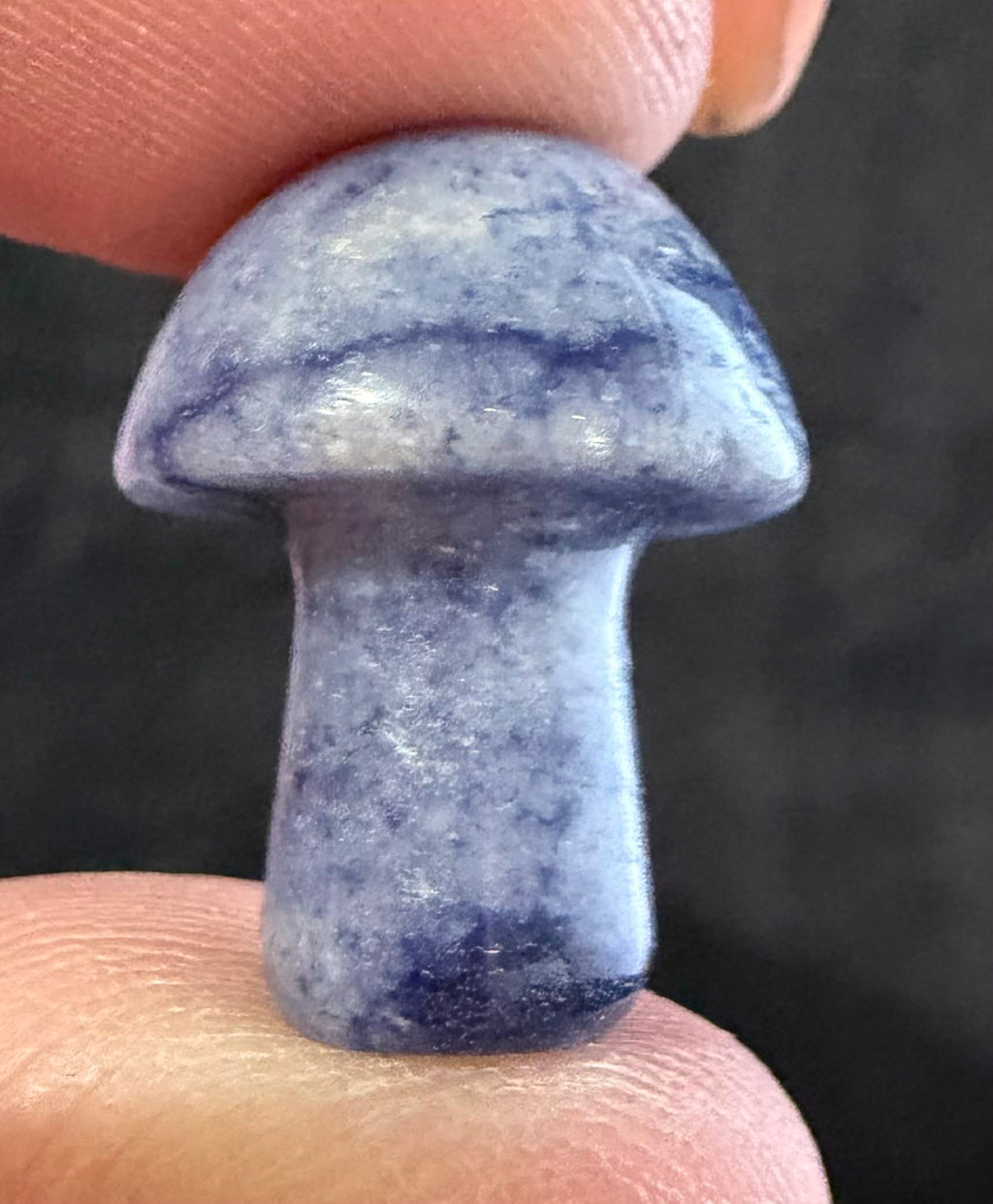 Mini Mushies