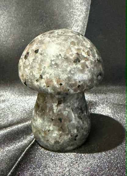 Yooperlite Mushroom