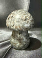 Yooperlite Mushroom