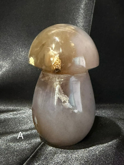 Agate Mushrooms