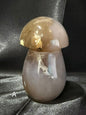 Agate Mushrooms