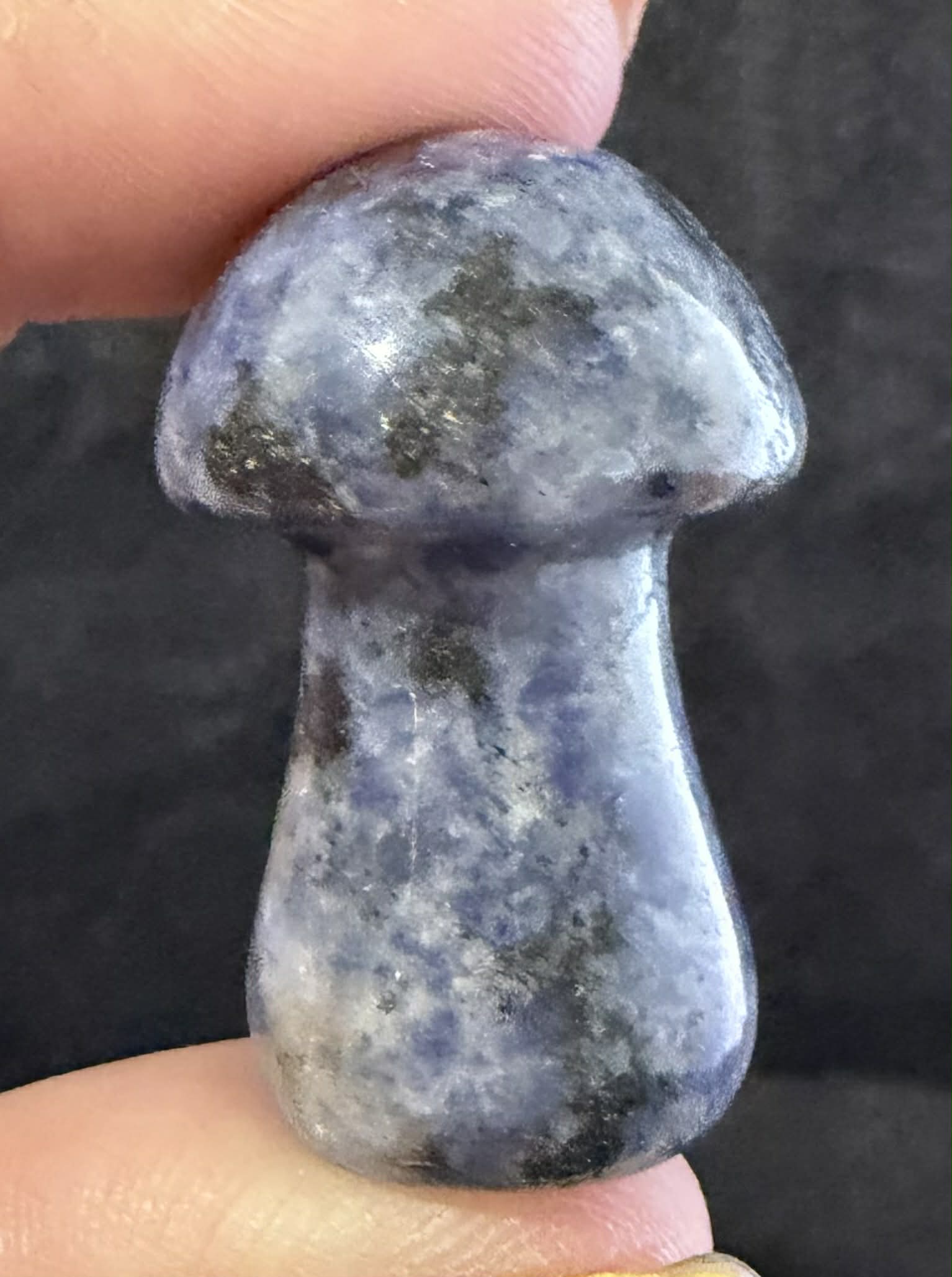 Medium Mushrooms