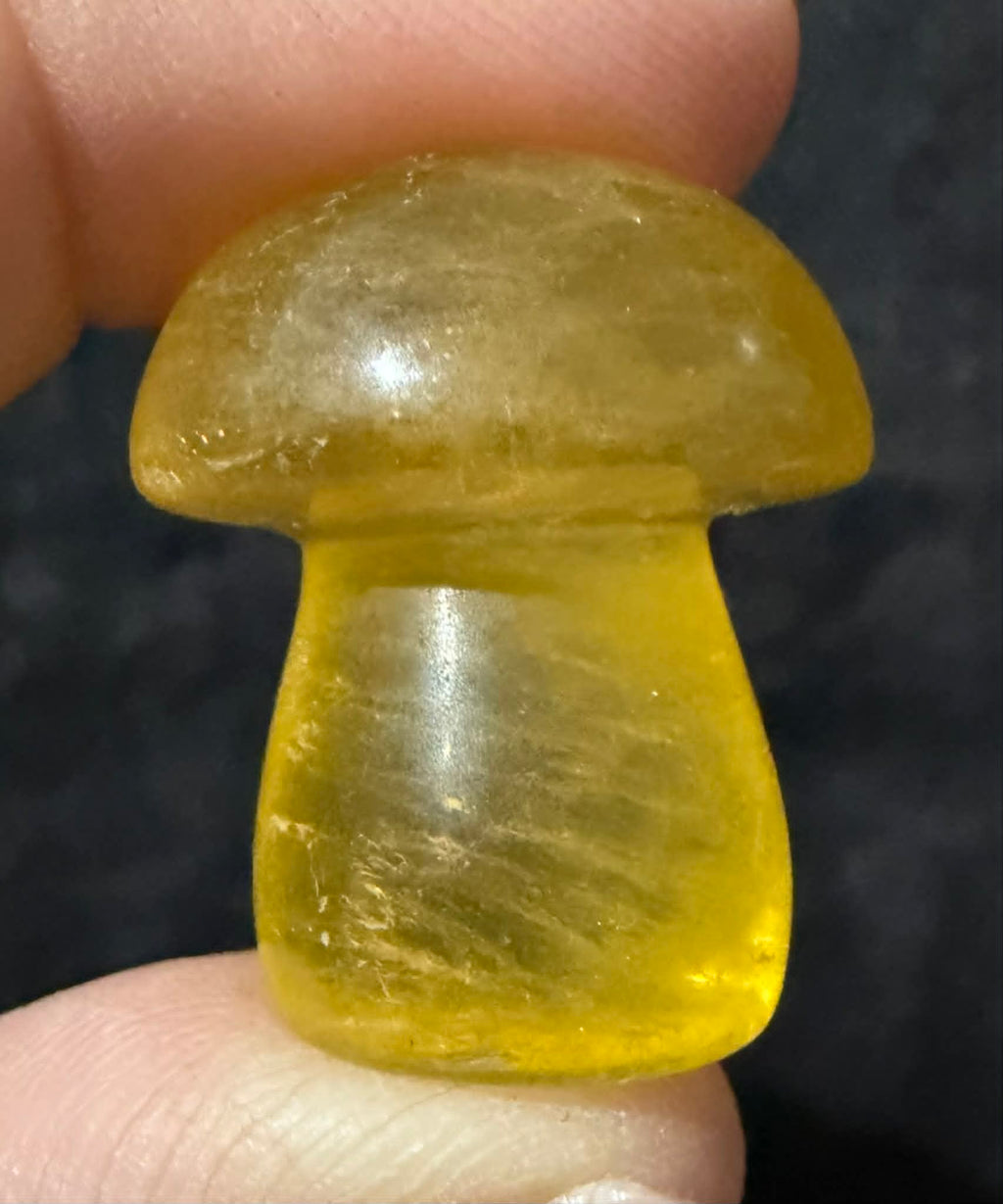 Fluorite Mushrooms