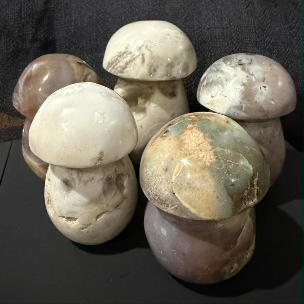 Ocean Jasper Mushrooms