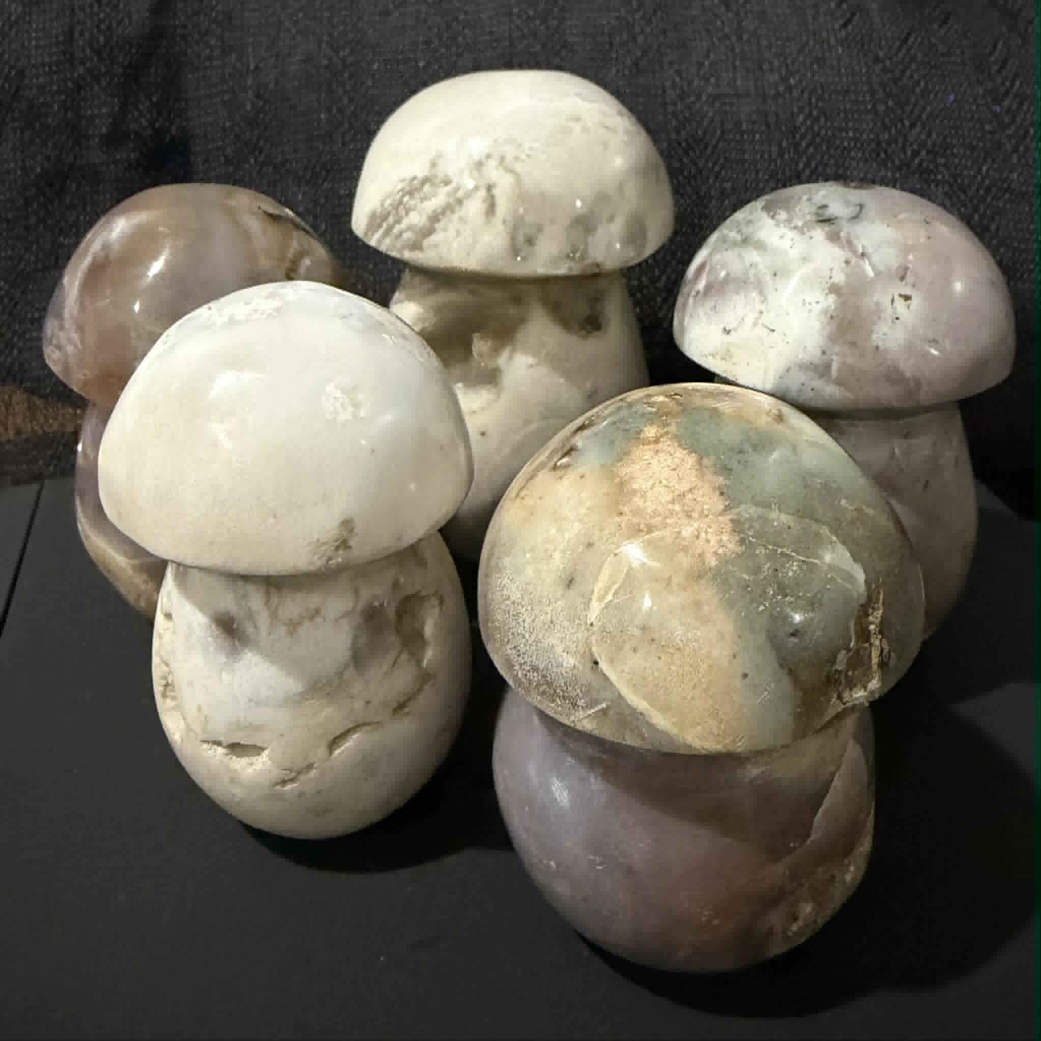 Ocean Jasper Mushrooms