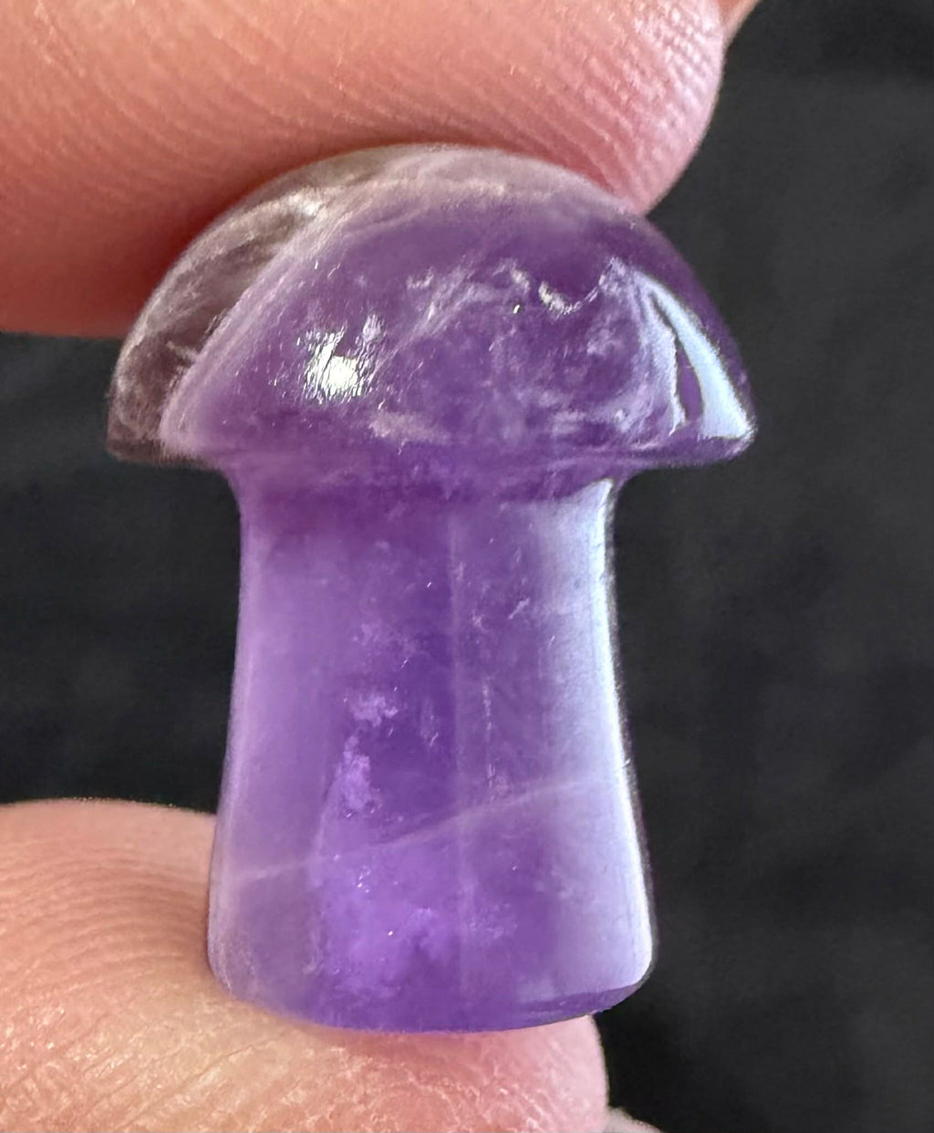 Mini Mushies