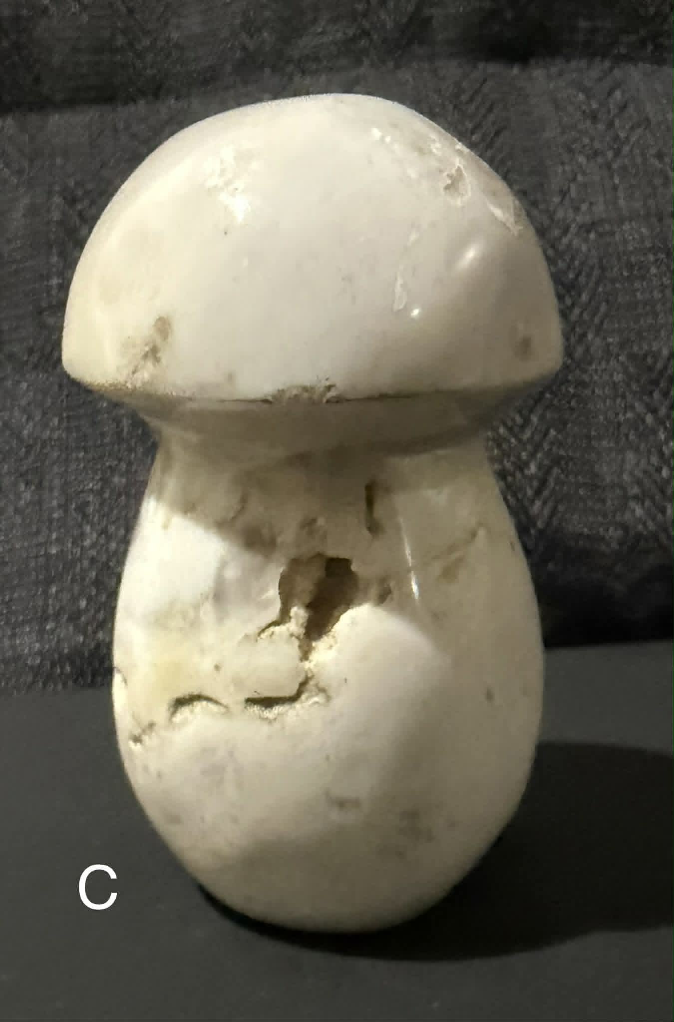 Ocean Jasper Mushrooms