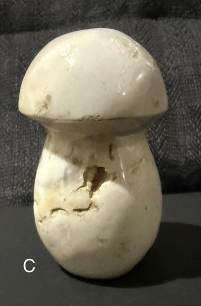 Ocean Jasper Mushrooms