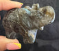 Elephant Carvings Medium