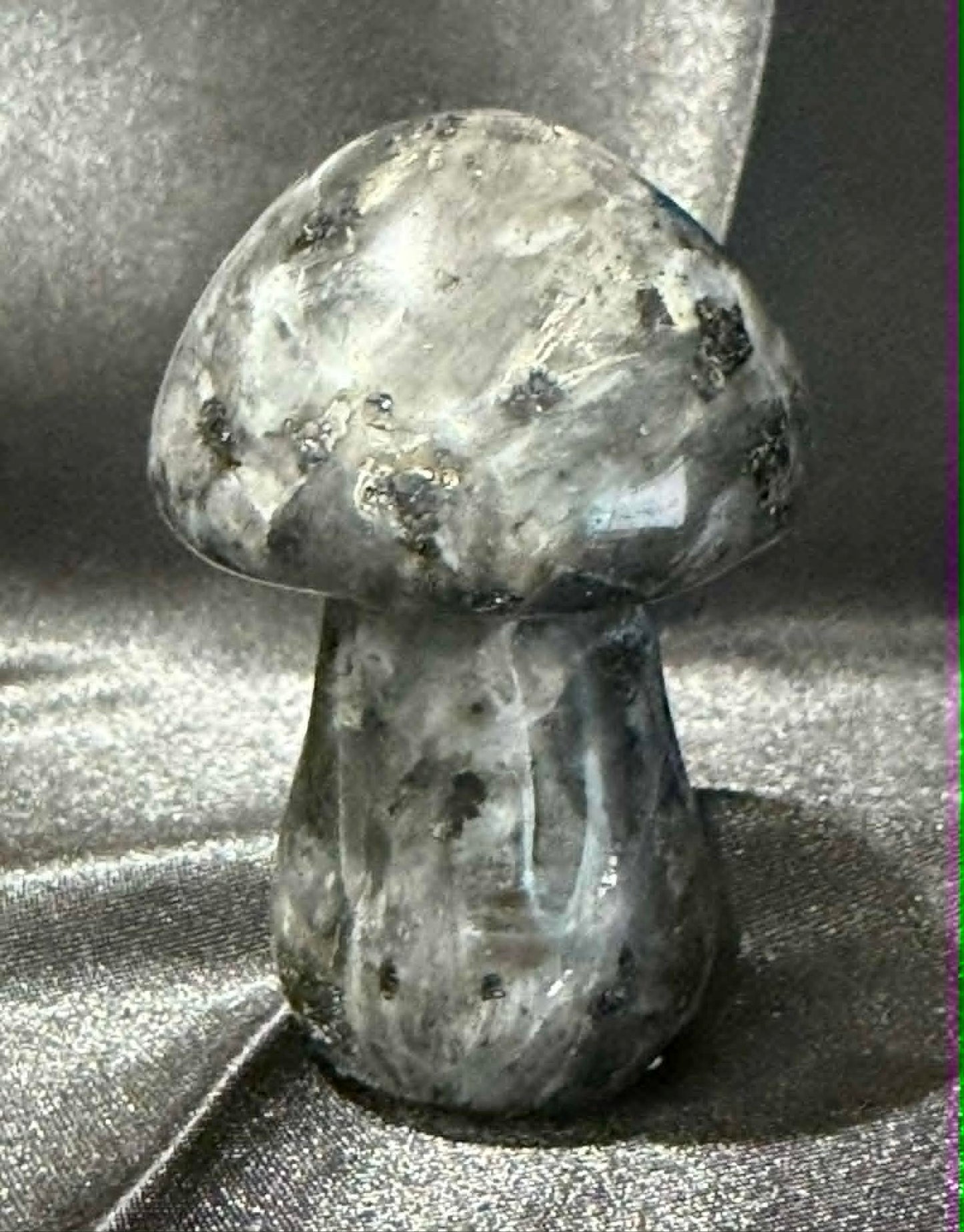 Larvakite Mushroom