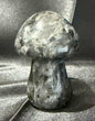 Larvakite Mushroom