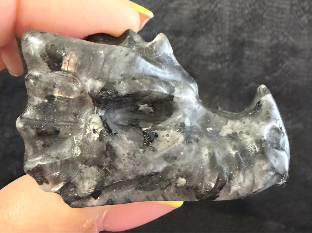 Dragon Heads Small