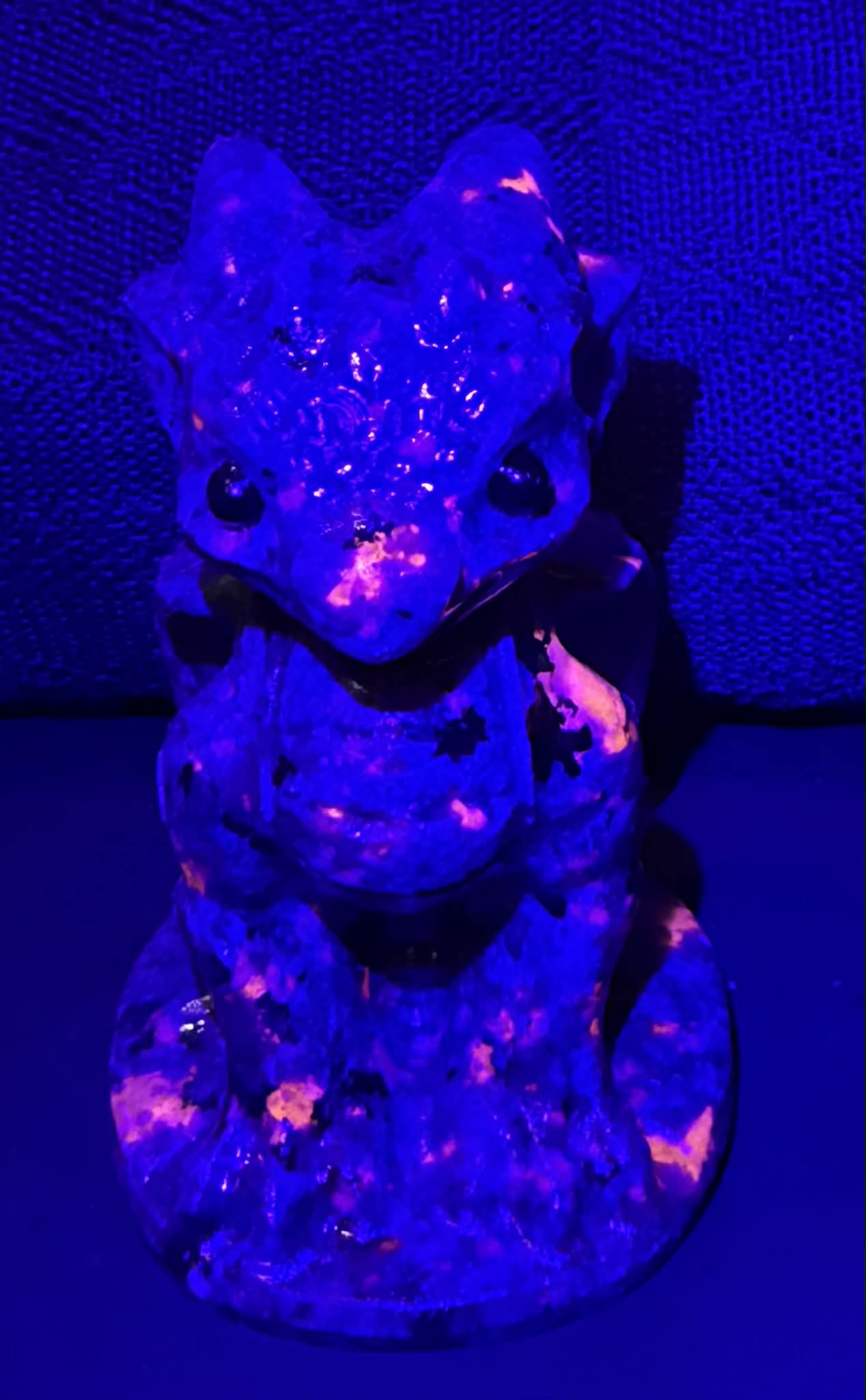 Baby Dragons