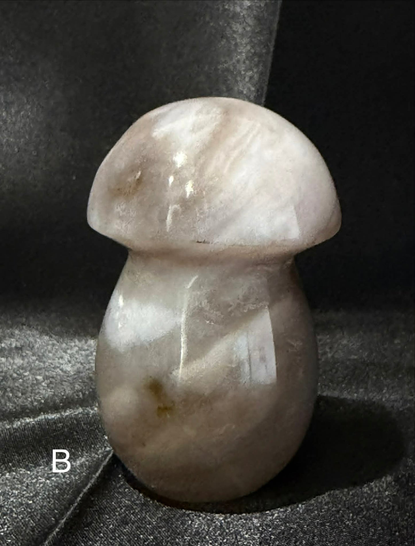Agate Mushrooms