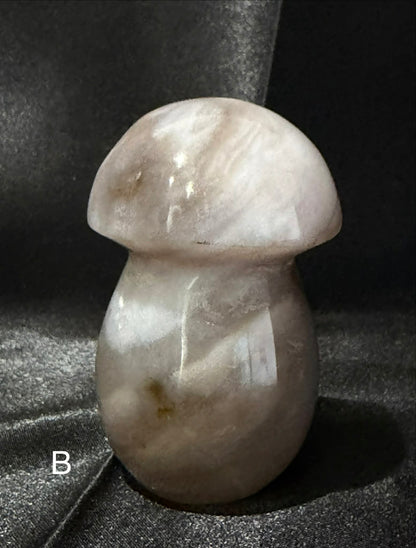 Agate Mushrooms