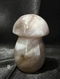 Agate Mushrooms