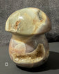 Ocean Jasper Mushrooms