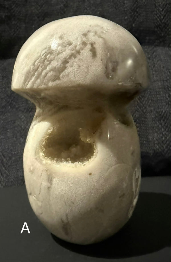 Ocean Jasper Mushrooms