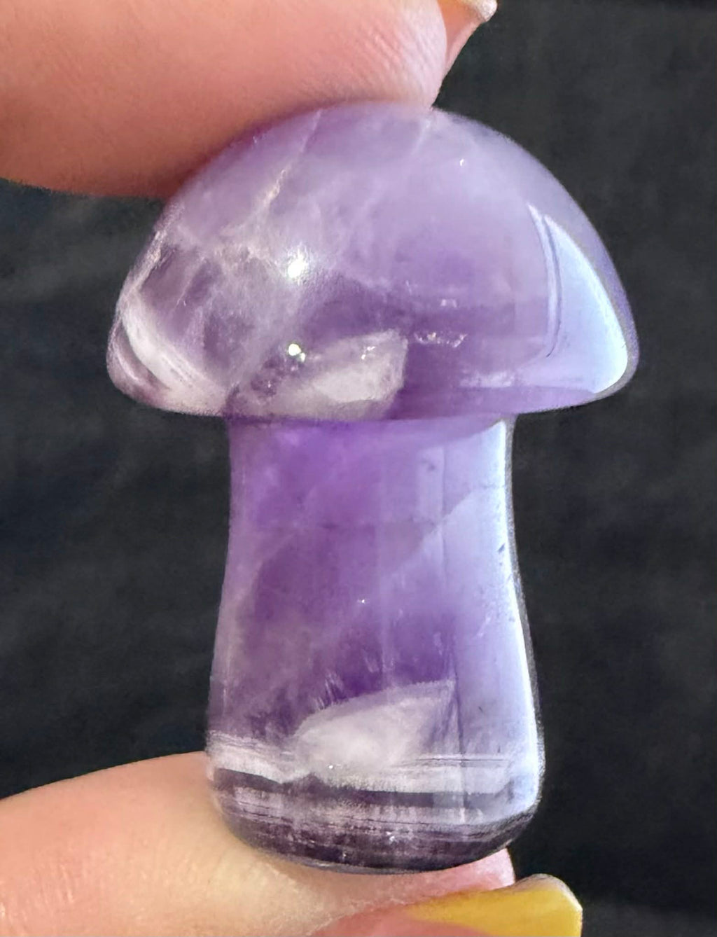 Medium Mushrooms