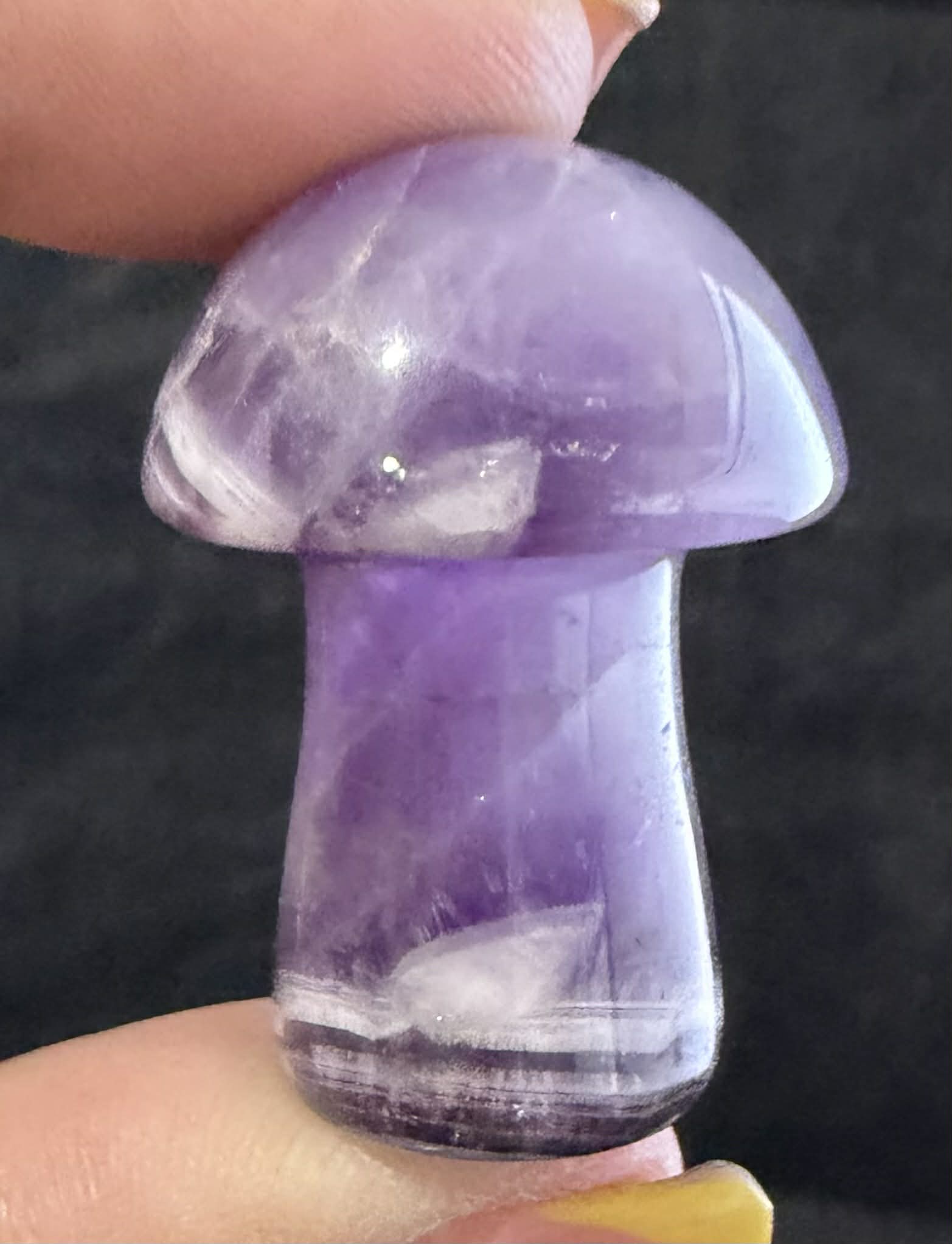 Medium Mushrooms
