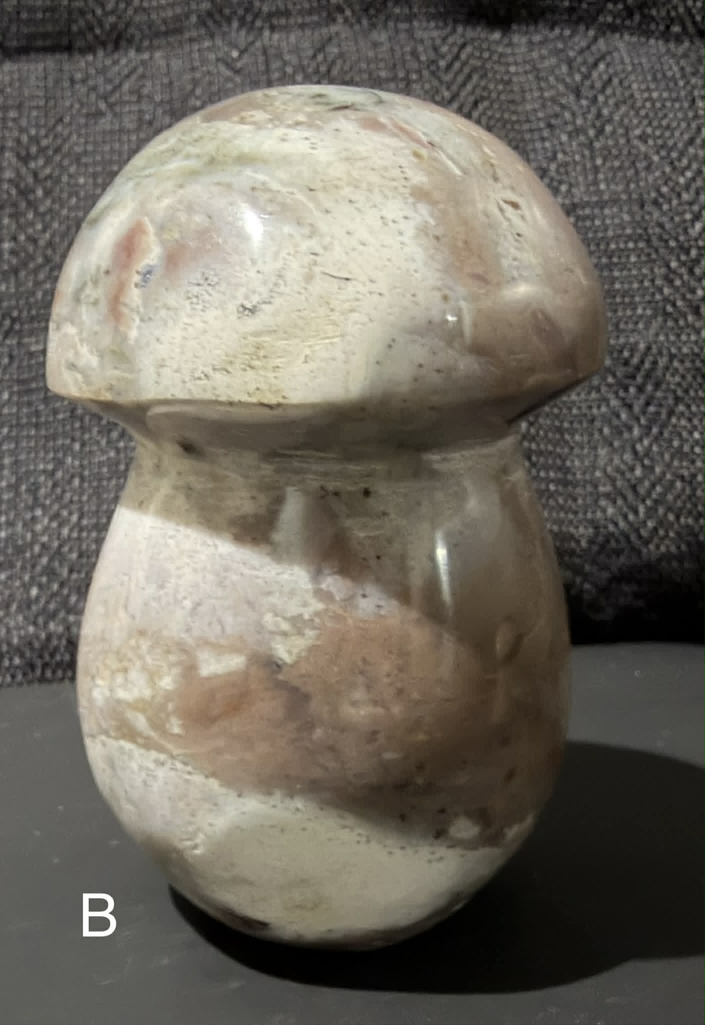 Ocean Jasper Mushrooms