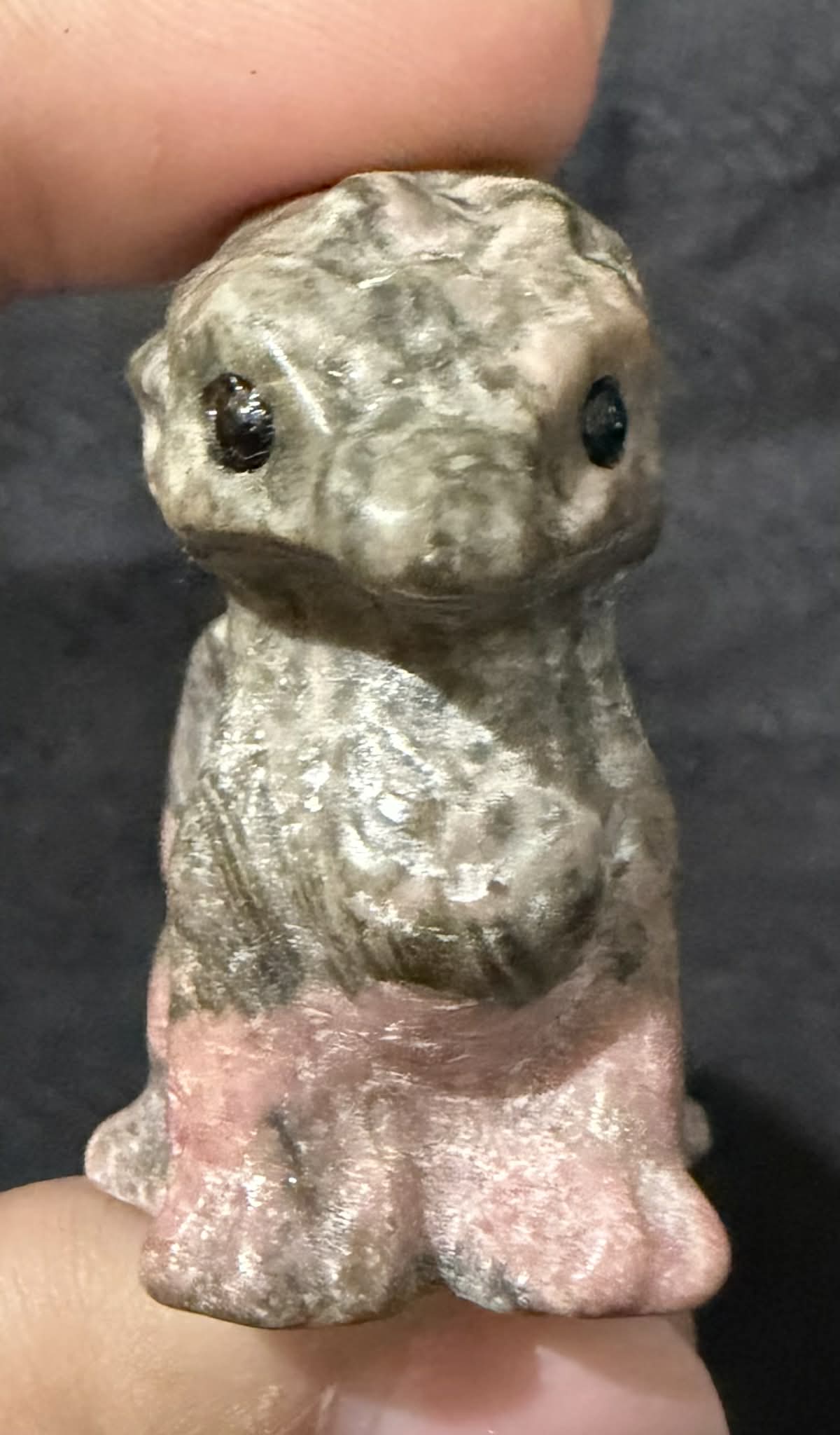 Mini Baby Dragons