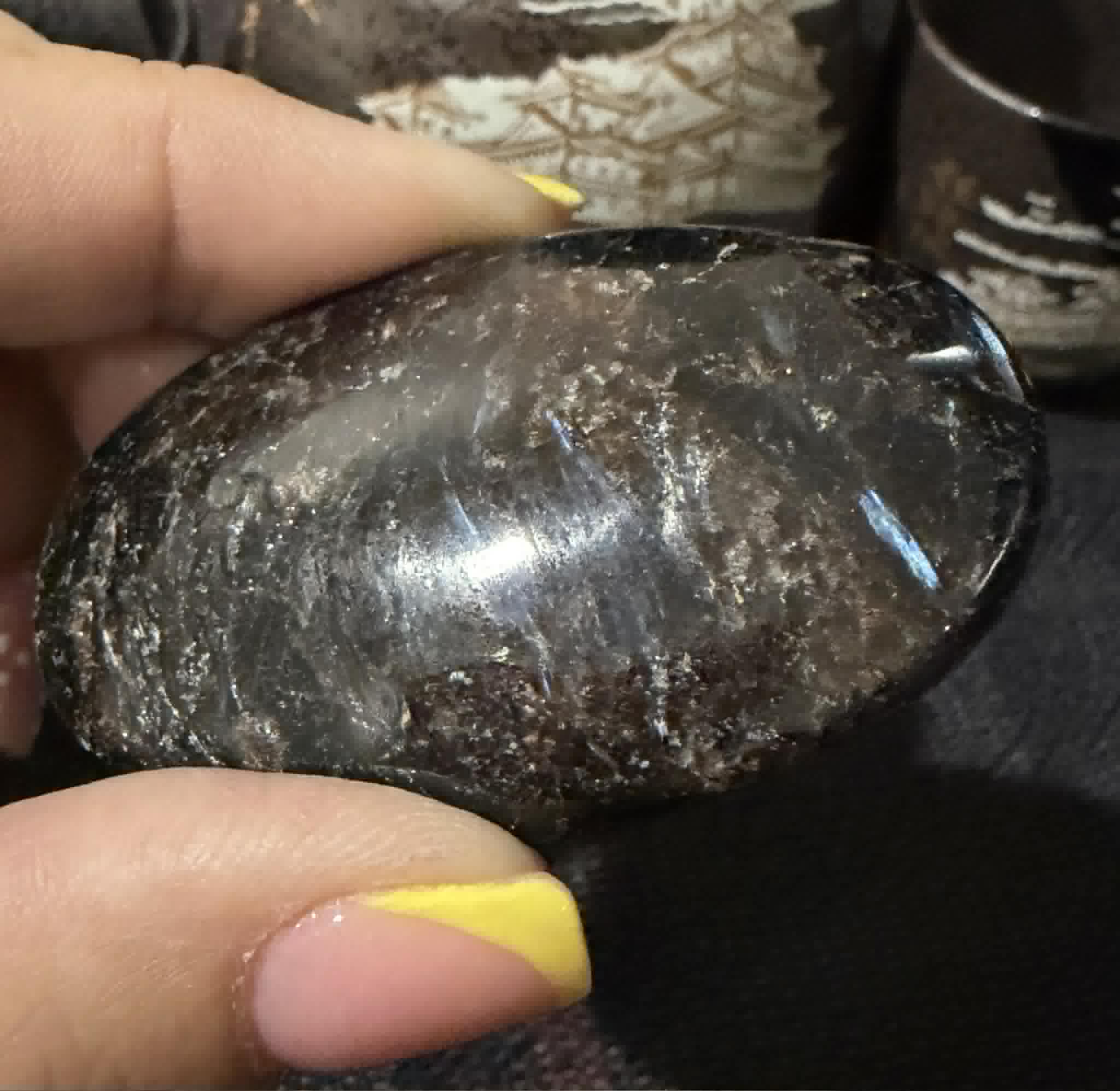 Blue Firework Stone Palm