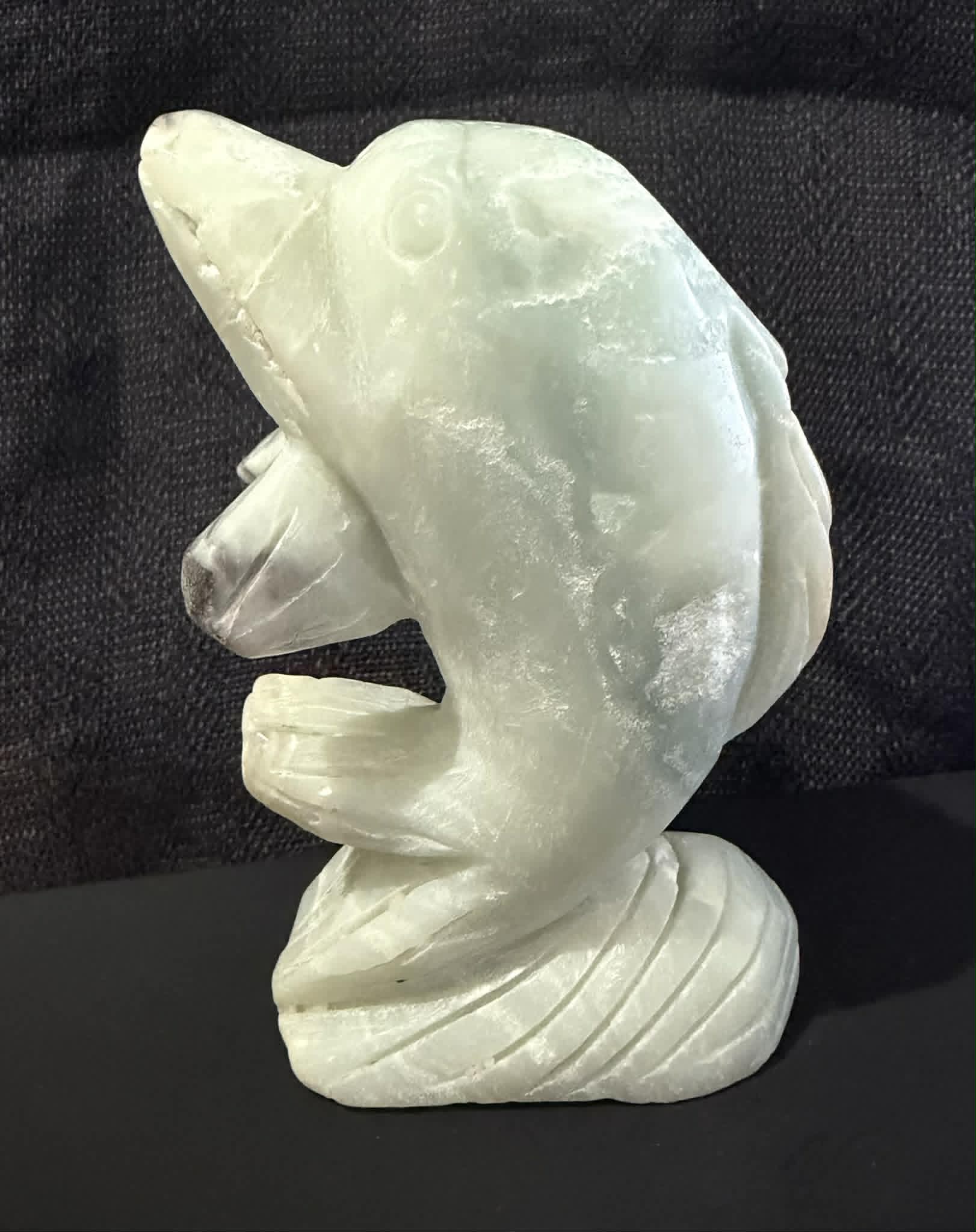 Caribbean Calcite Dolphin