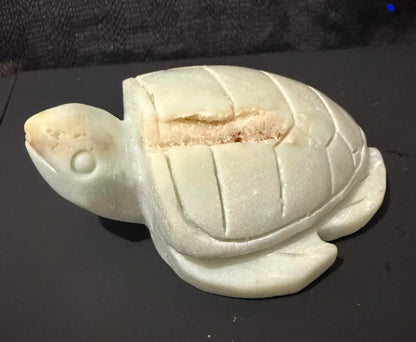 Crystal Turtles