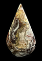 Mexican Crazy Lace Agate Portal
