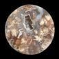 Flower Agate Slabs Small