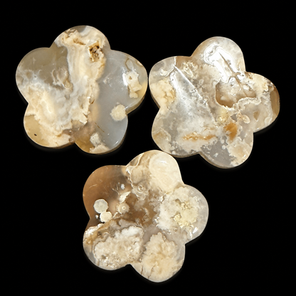 Flower Agate Slabs Small