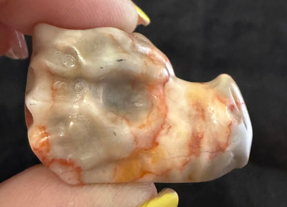 Mini Dragon Heads