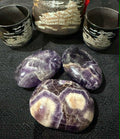 Dream Amethyst Palm