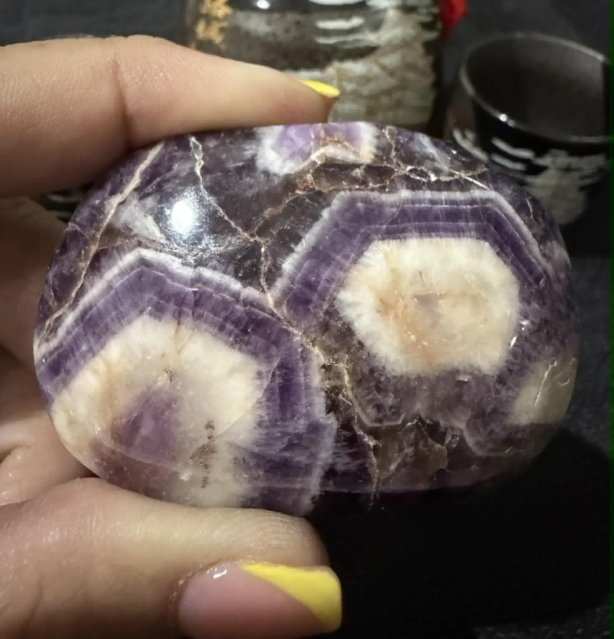 Dream Amethyst Palm