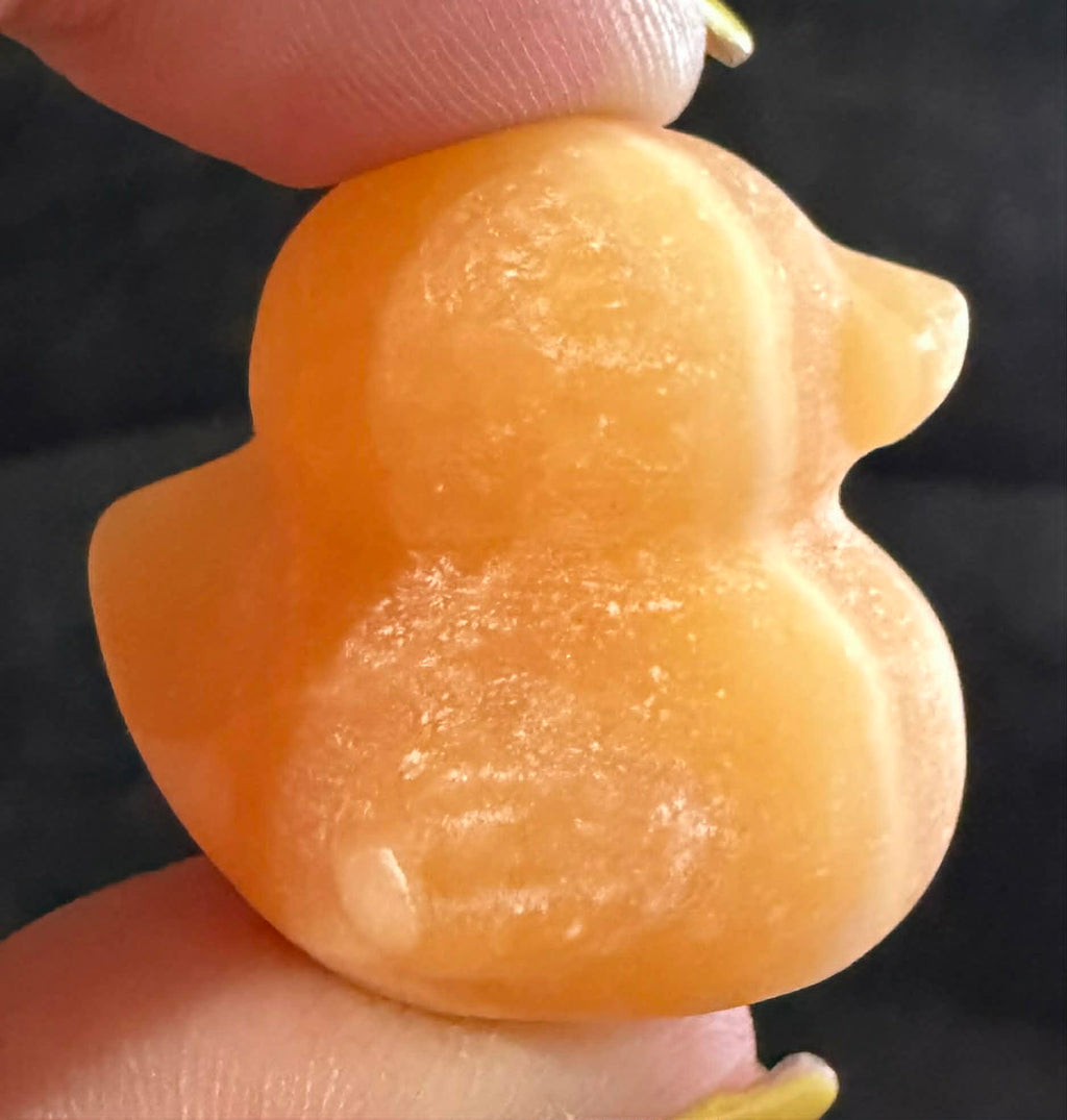 Crystal Ducks