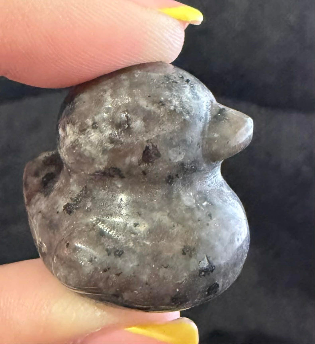 Crystal Ducks