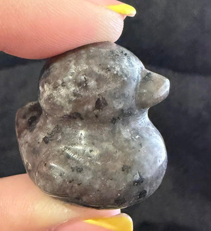 Crystal Ducks