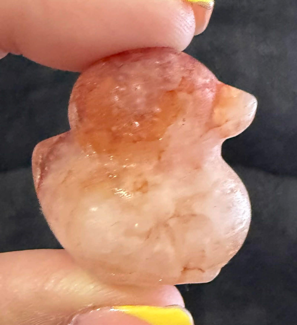 Crystal Ducks