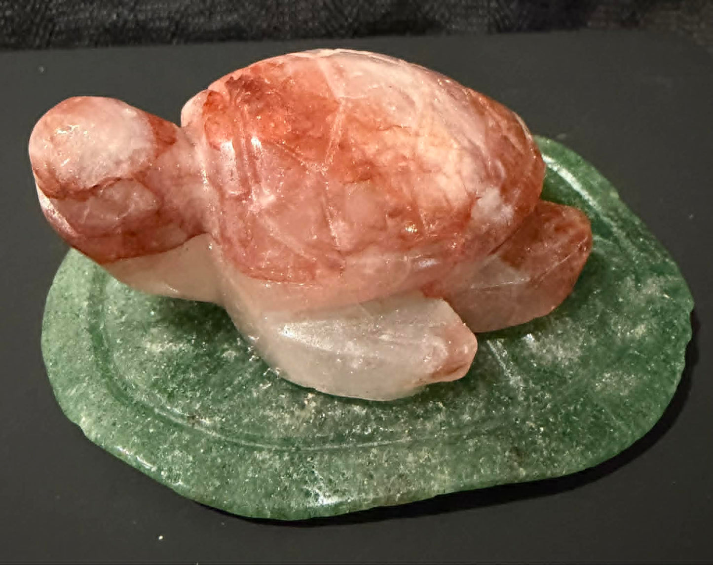 Crystal Turtles
