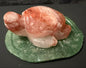 Crystal Turtles