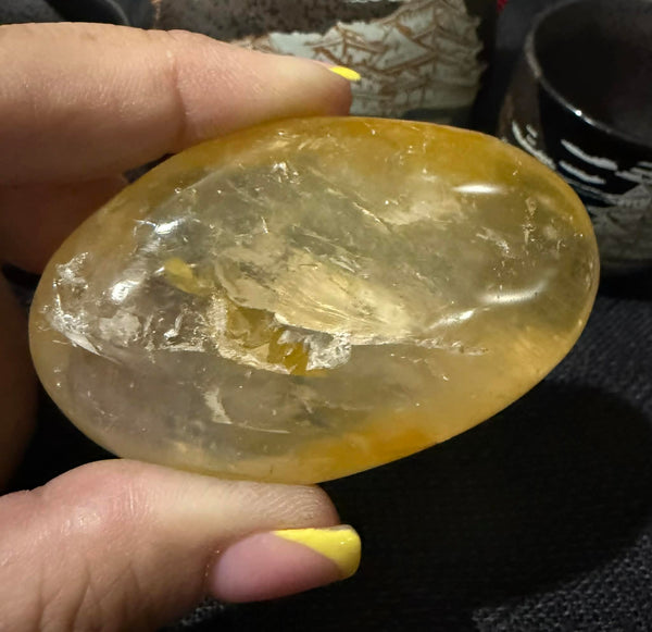 Golden Healer Palm