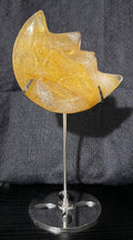 Golden Heeler Moon with Stand
