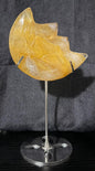 Golden Heeler Moon with Stand