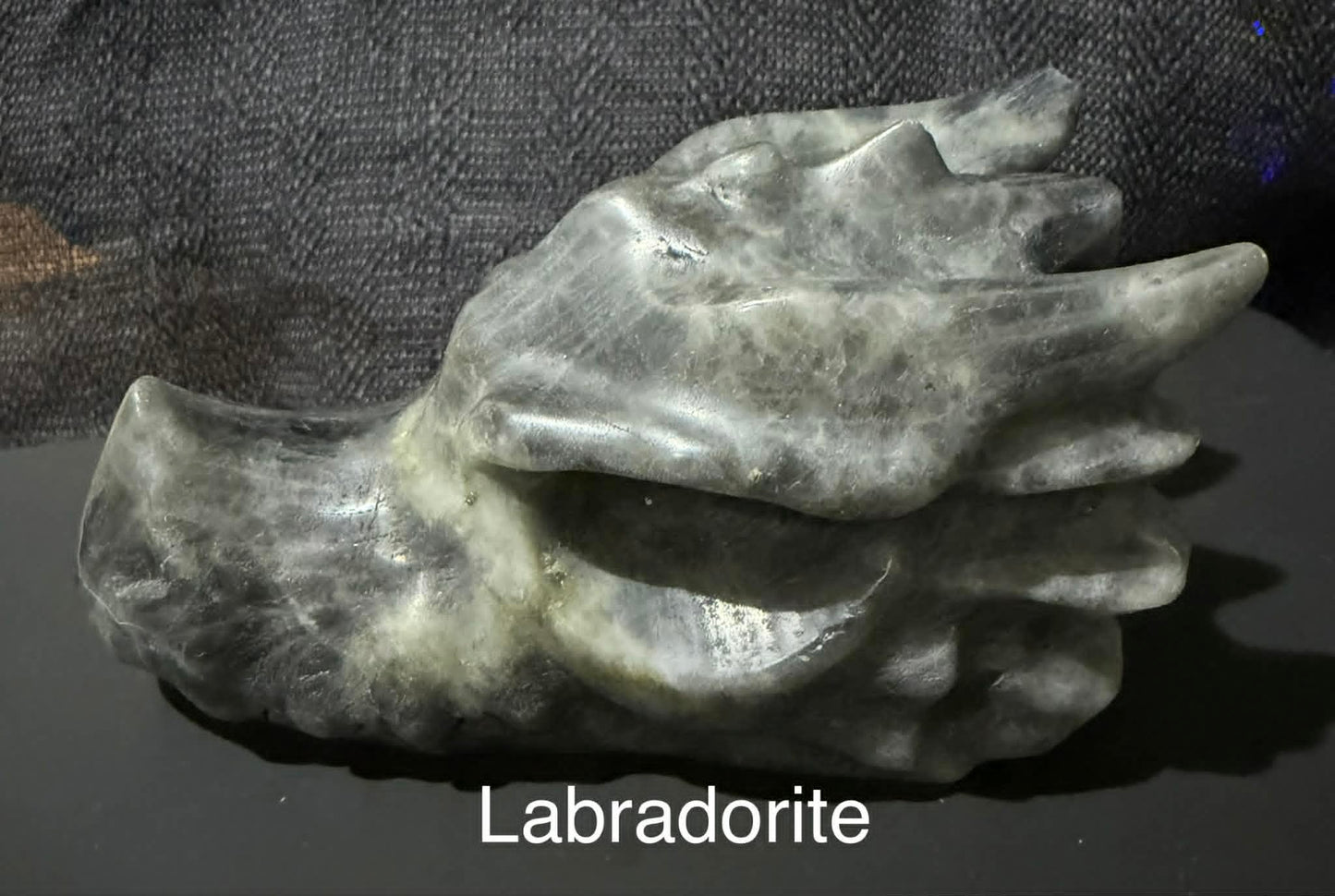 Dragon Head Medium