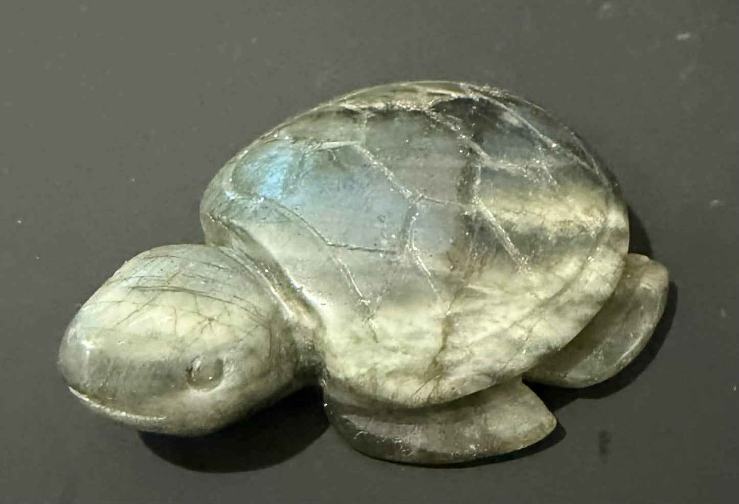 Crystal Turtles