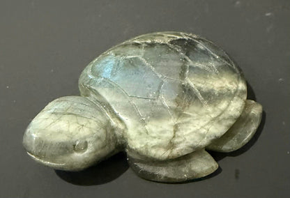 Crystal Turtles